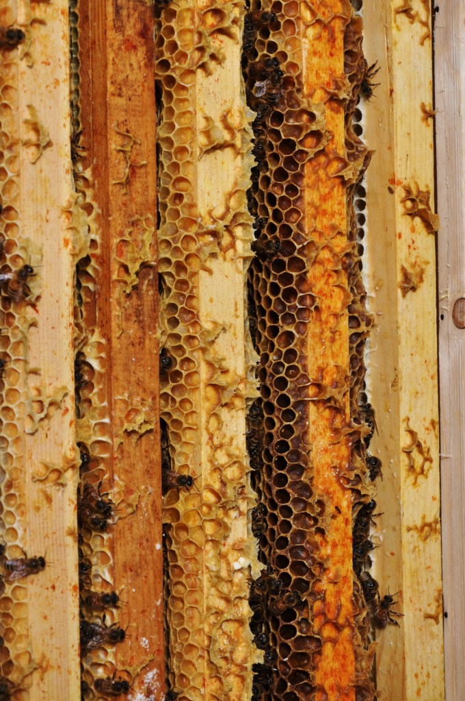 beehive