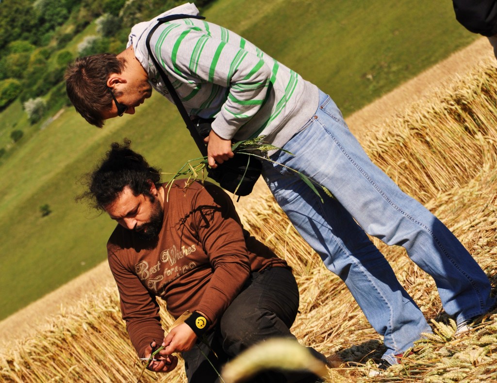 corncollectors