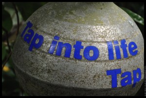tap into life