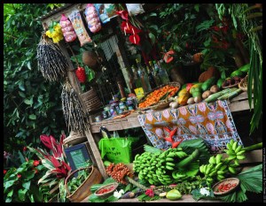 tropical market