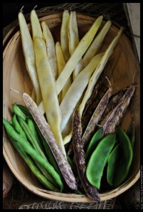 seasonal beans