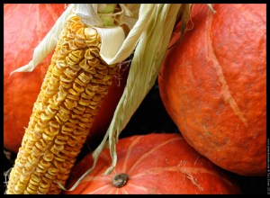 seasonal pumpkins corn