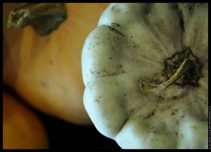 seasonal squash