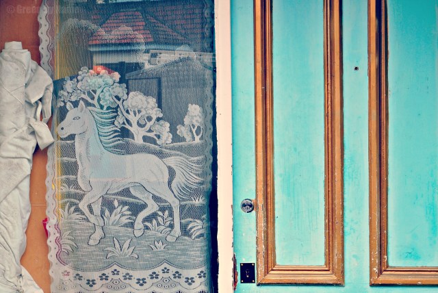 door window white horse