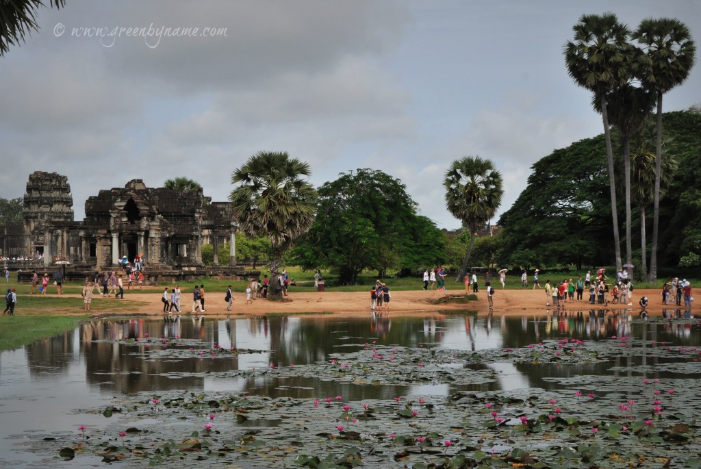 angkorlakepalmscr